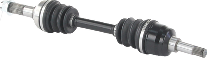 02143161_2.png