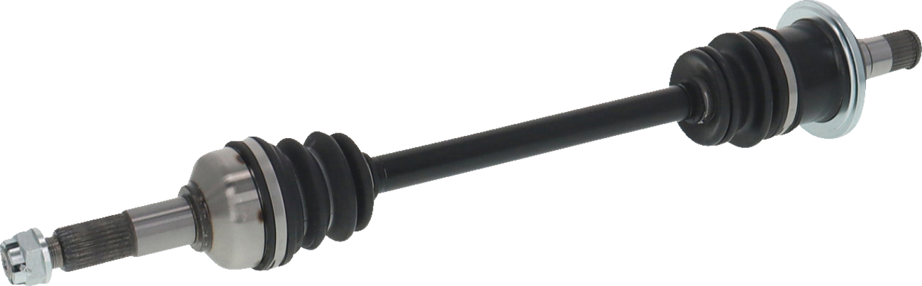 02143165_2.png