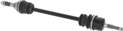 02143166_2.png
