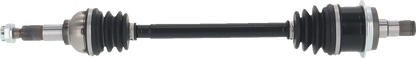 02143168_0.png