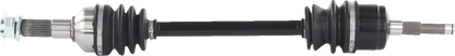 02143169_1.png