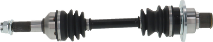 02143175_1.png