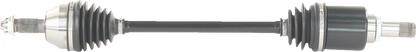 02143180_1.png