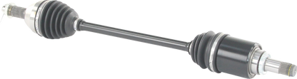 02143181_2.png