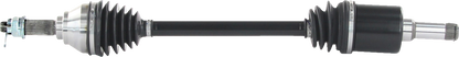 02143189_2.png