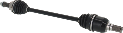 02143198_1.png