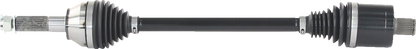 02143215_0.png