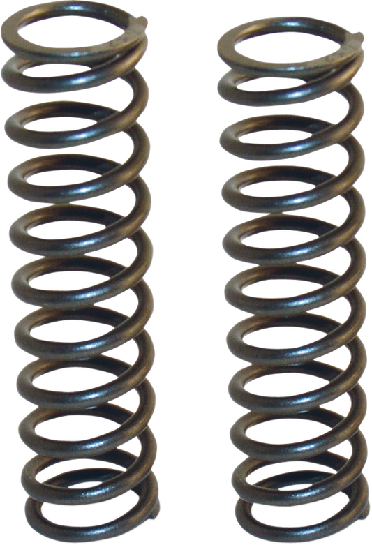 04050171_1.png