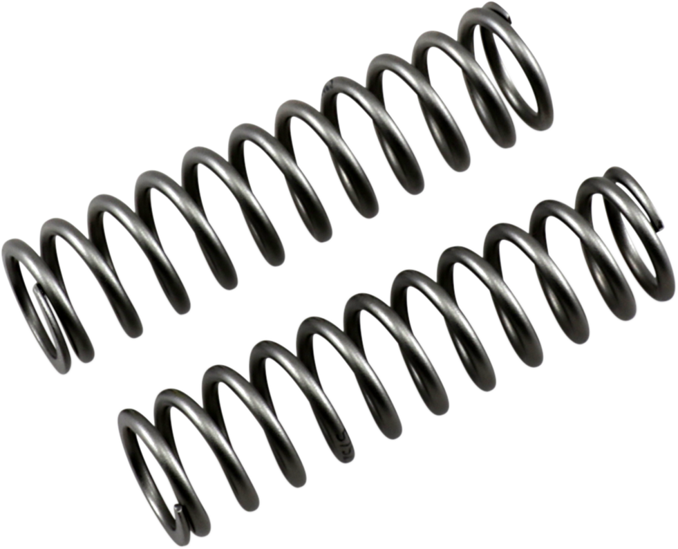 04050247_0.png