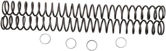 04050262_0.png