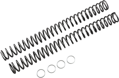 04050266_0.png