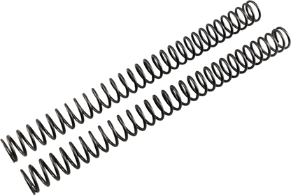 04050336_0.png
