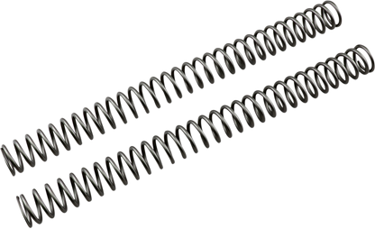 04050339_0.png