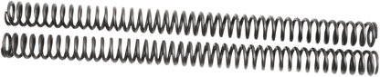 04050487_1.png