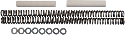 04050491_0.png