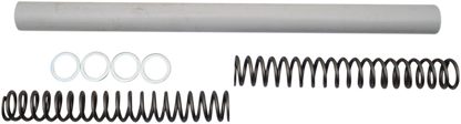 04050497_0.png