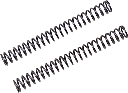 04051072_1.png