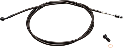 06522025_0.png