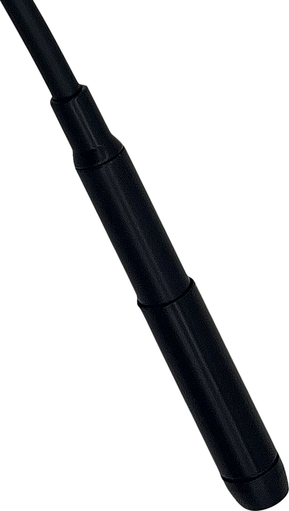 06621246_2.png