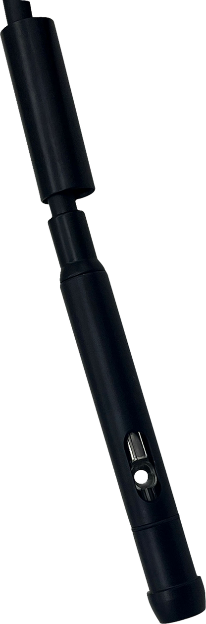 06621248_3.png