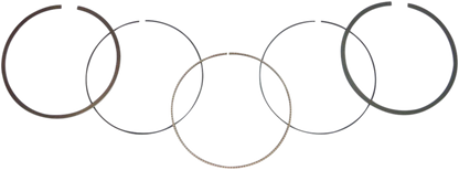 09120491_0.png