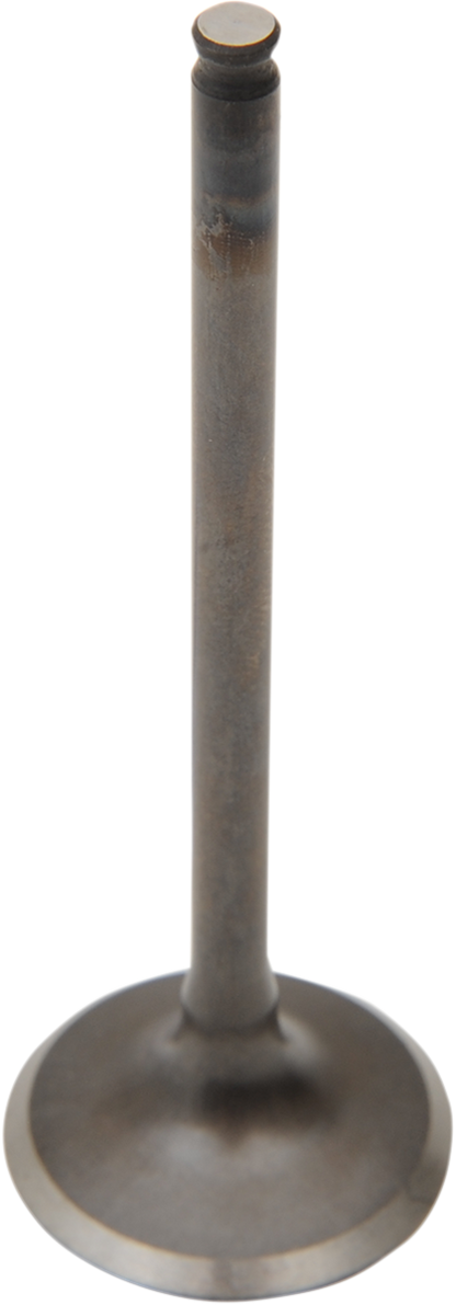 09260669_0.png