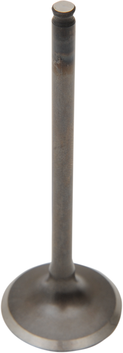 09260669_0.png