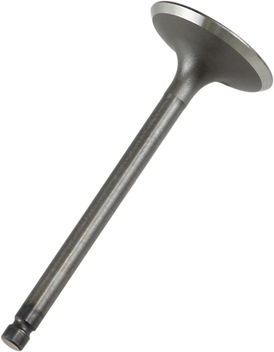 09260681_0.png
