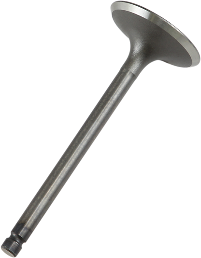 09260681_0.png