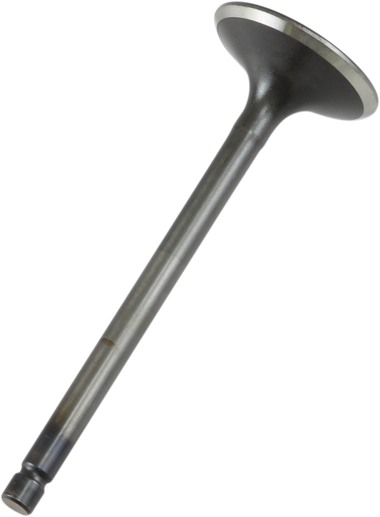 09260684_0.png