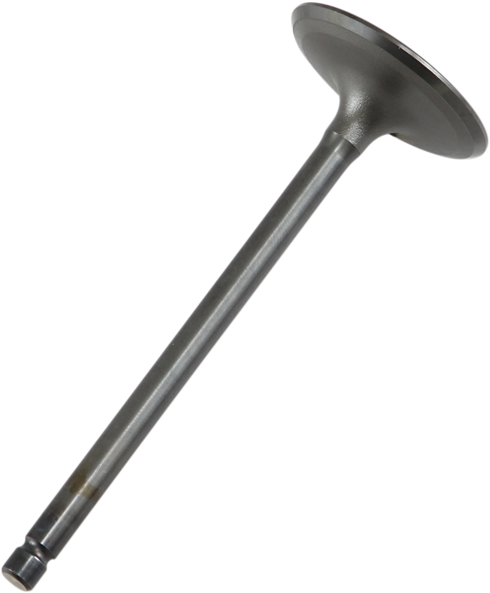 09260687_0.png
