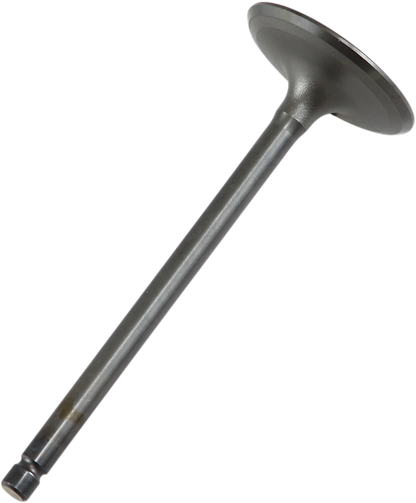 09260687_0.png