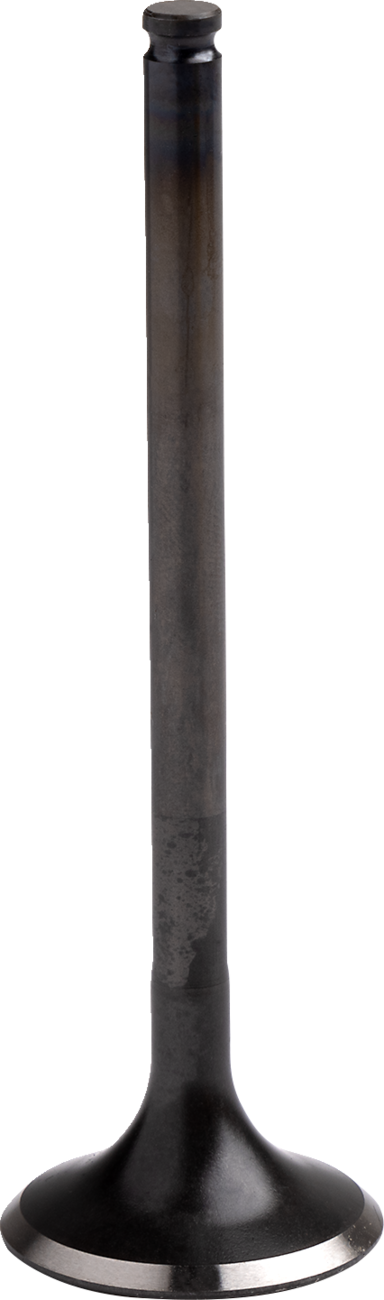 09260688_0.png