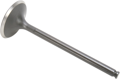 09261697_0.png
