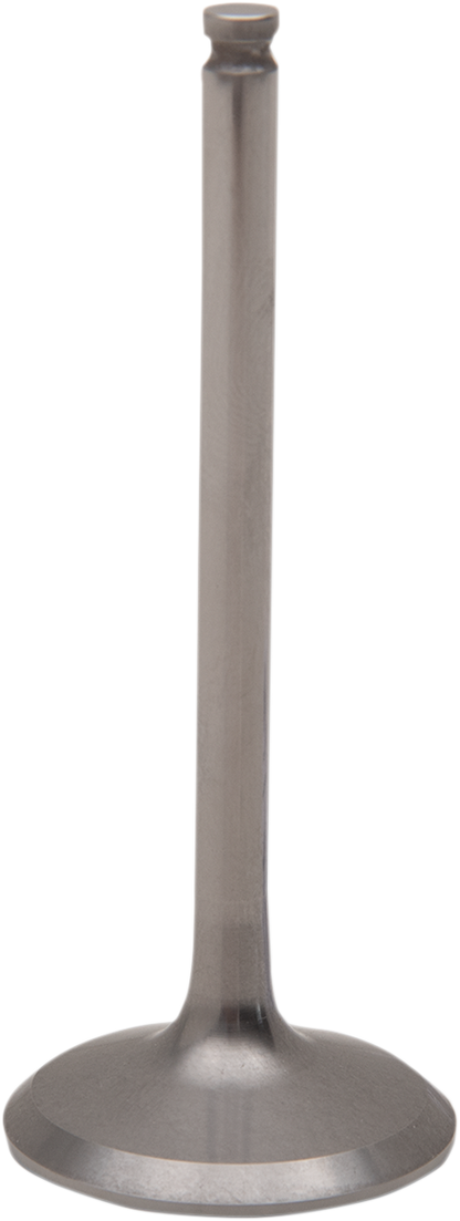 09261736_0.png