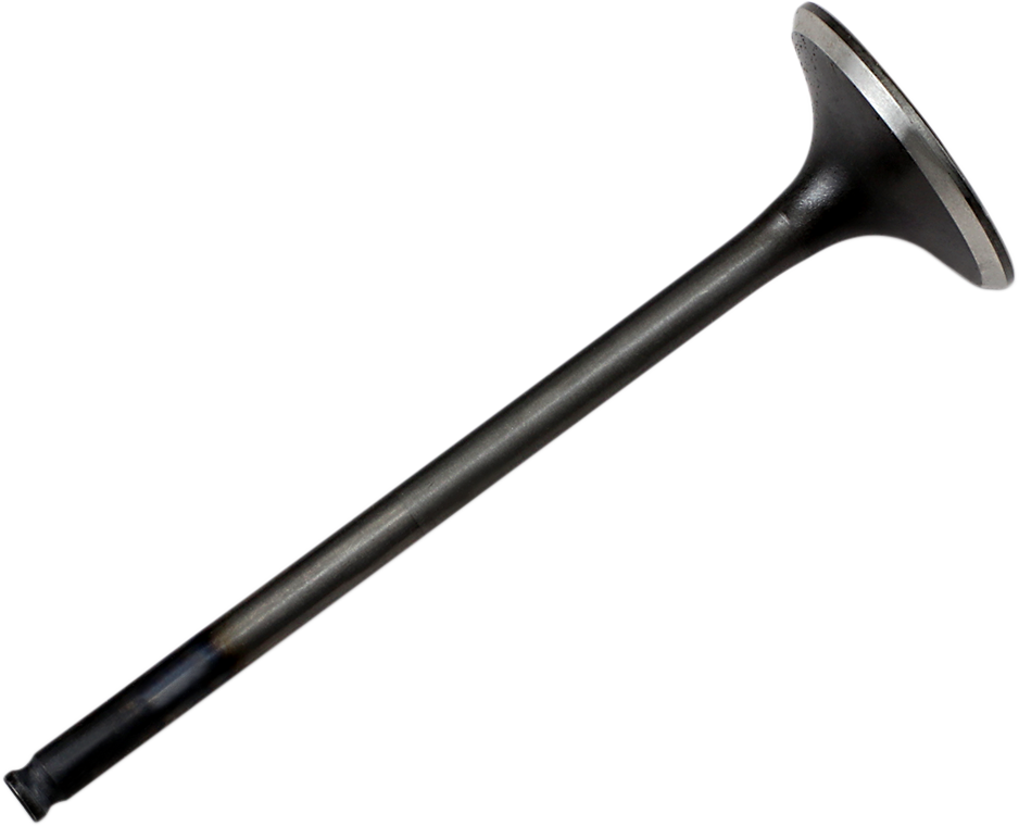 09262234_0.png