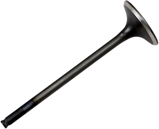 09262234_0.png