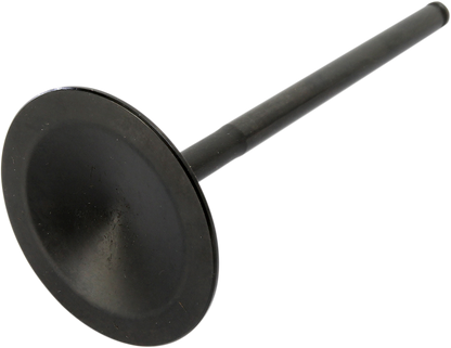 09262681_1.png