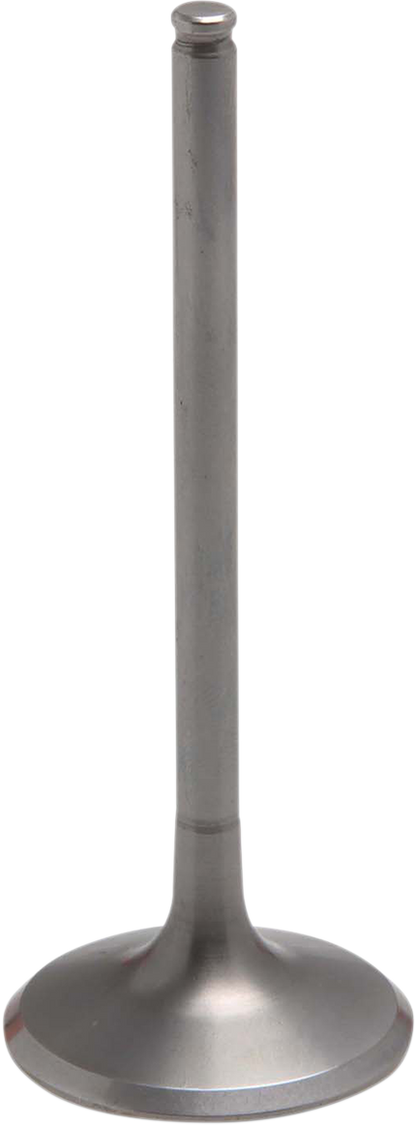09262770_0.png