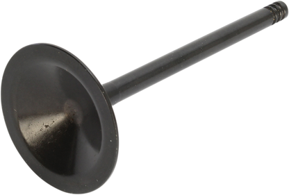 09262866_1.png