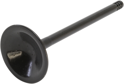09262868_0.png