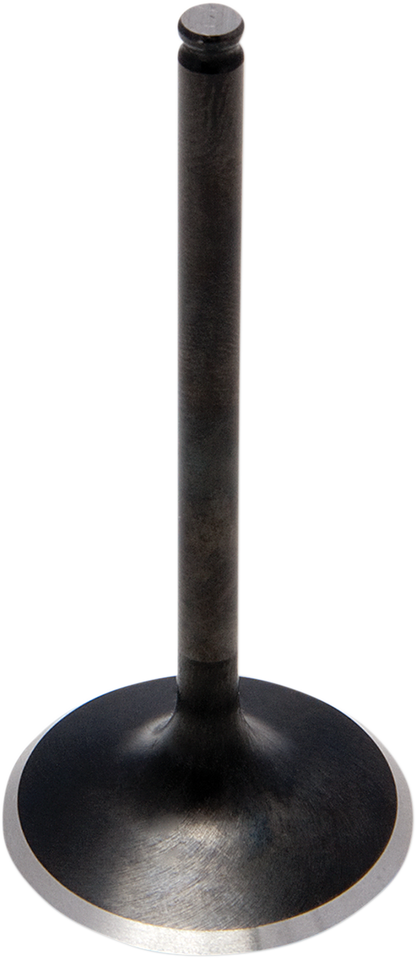 09263055_0.png