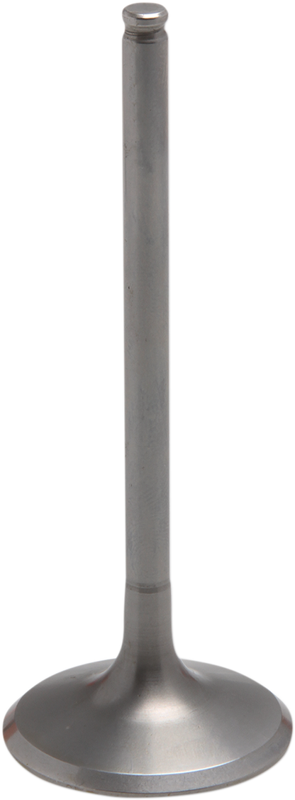 09263056_0.png