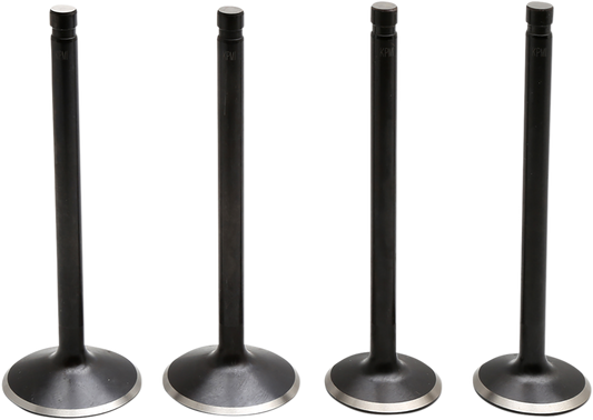 09263211_0.png