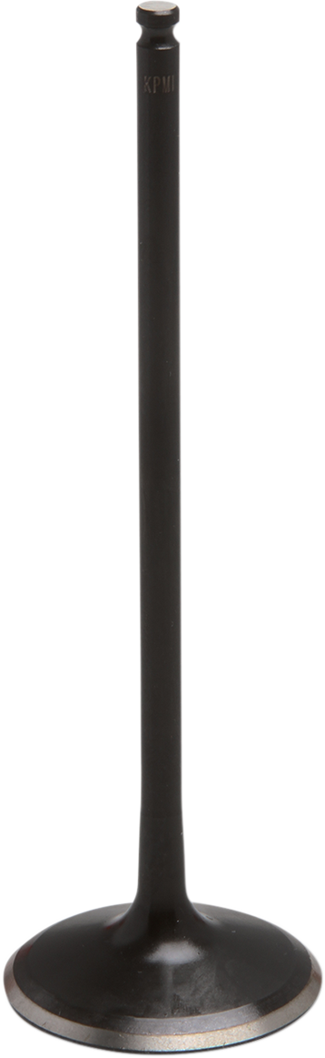 09263255_0.png