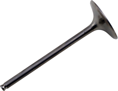 09263283_0.png