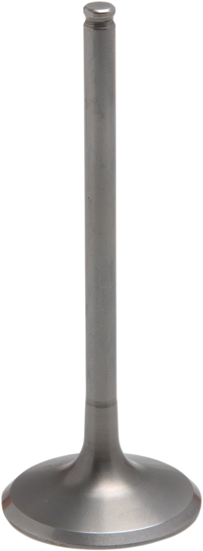 09263283_1.png