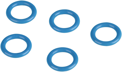 09350245_0.png