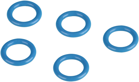 09350245_1.png