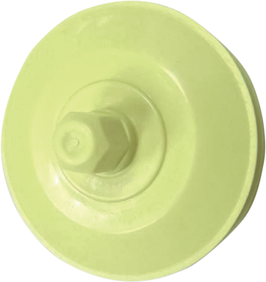 09500474_0.png